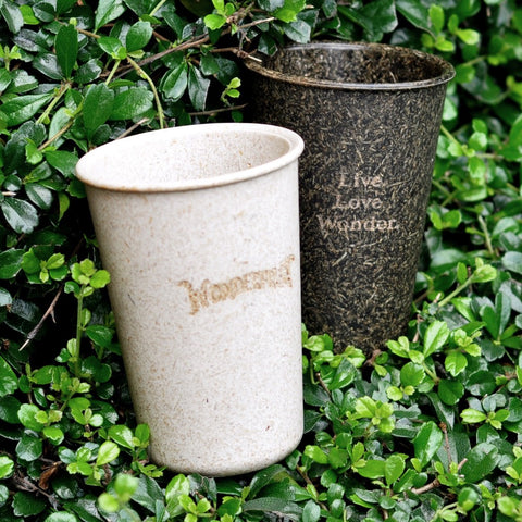 Rice Husk Wonder Cup